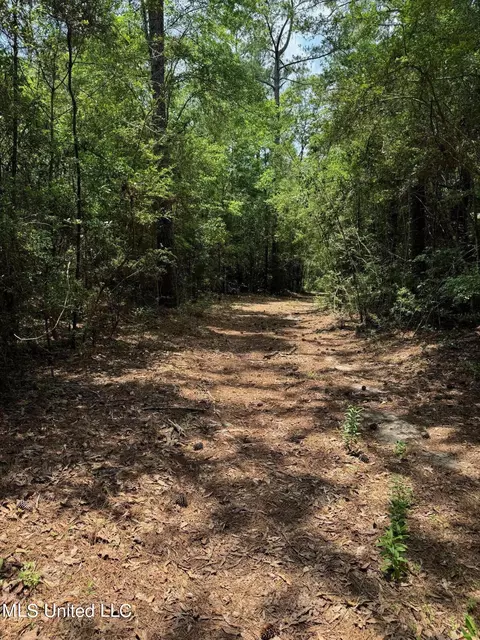 Riverline Road, Saucier, MS 39574 photo 9