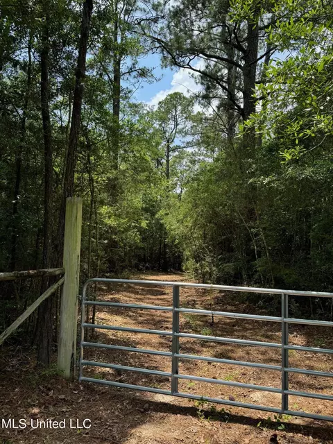 Riverline Road, Saucier, MS 39574 photo 4