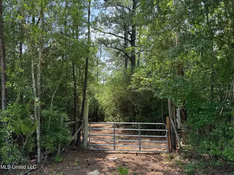 Riverline Road, Saucier, MS 39574