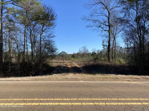 10409 Ms 21, Forest, MS 39074 photo 4