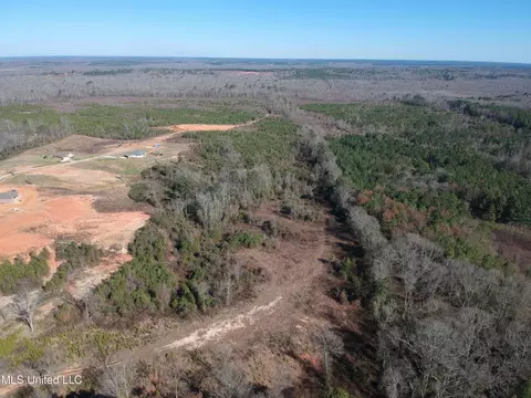 10409 Ms 21, Forest, MS 39074 photo 16