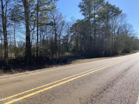 10409 Ms 21, Forest, MS 39074 photo 8