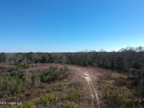 10409 Ms 21, Forest, MS 39074 photo 2