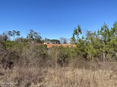 10409 Ms 21, Forest, MS 39074 photo 12