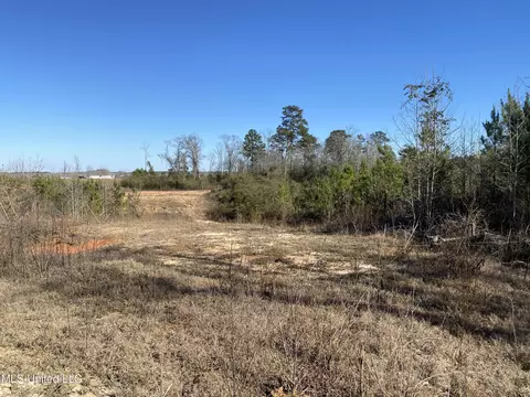 10409 Ms 21, Forest, MS 39074 photo 13