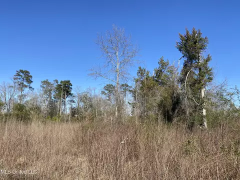 10409 Ms 21, Forest, MS 39074 photo 11