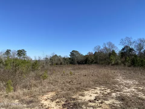 10409 Ms 21, Forest, MS 39074 photo 9