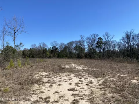 10409 Ms 21, Forest, MS 39074 photo 6
