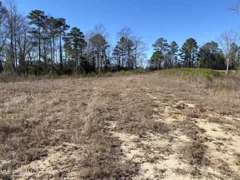 10409 Ms 21, Forest, MS 39074 photo 10