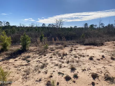 10409 Ms 21, Forest, MS 39074 photo 14
