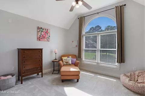 226 Hickory Gln, Madison, MS 39110 photo 19