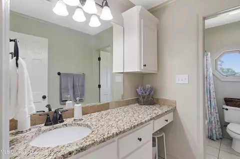 226 Hickory Gln, Madison, MS 39110 photo 22