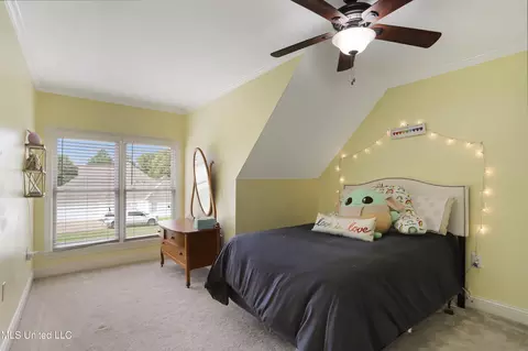 226 Hickory Gln, Madison, MS 39110 photo 20