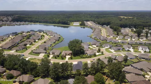 View/Area - 130 Camden Pt, Madison, MS 39110 photo 7 of 10