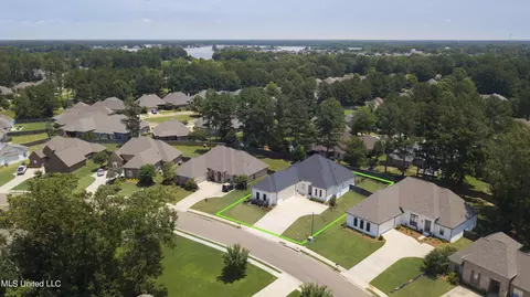 View/Area - 130 Camden Pt, Madison, MS 39110 photo 5 of 10