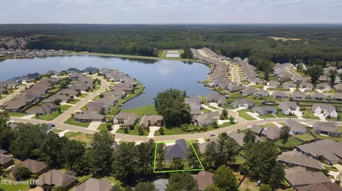 View/Area - 130 Camden Pt, Madison, MS 39110 photo 8 of 10