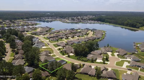 View/Area - 130 Camden Pt, Madison, MS 39110 photo 10 of 10