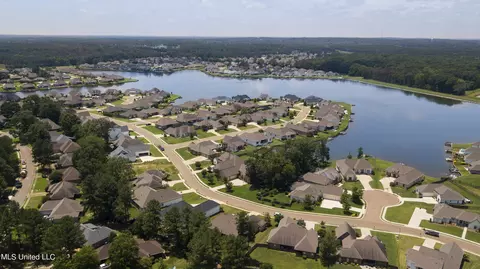 View/Area - 130 Camden Pt, Madison, MS 39110 photo 9 of 10