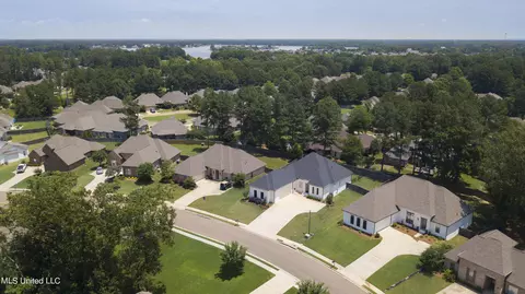 View/Area - 130 Camden Pt, Madison, MS 39110 photo 4 of 10