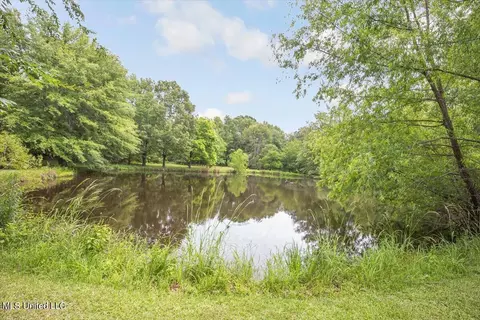 655 Highleadon Pl, Madison, MS 39110 photo 35