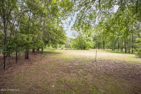 655 Highleadon Pl, Madison, MS 39110 photo 34