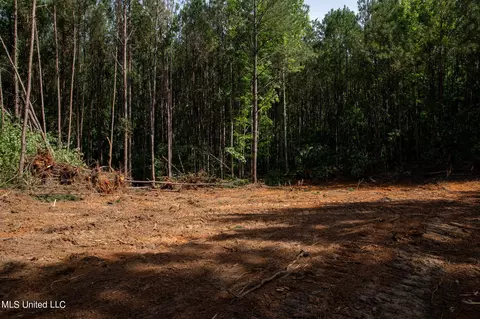 Hwy 18, Puckett, MS 39042 photo 19