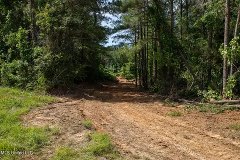 Hwy 18, Puckett, MS 39042 photo 3