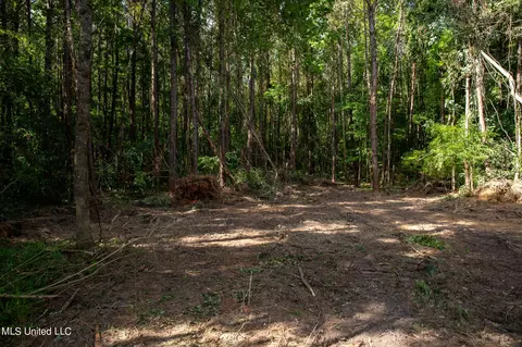 Hwy 18, Puckett, MS 39042 photo 15