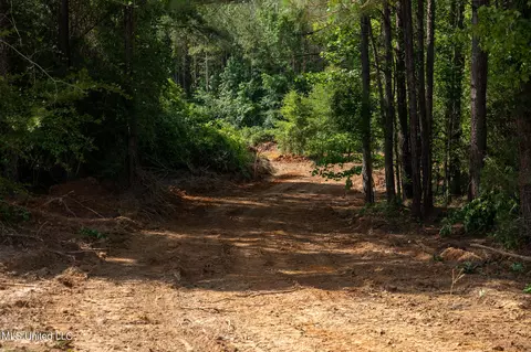 Hwy 18, Puckett, MS 39042 photo 4