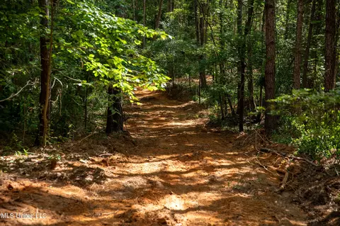 Hwy 18, Puckett, MS 39042 photo 21