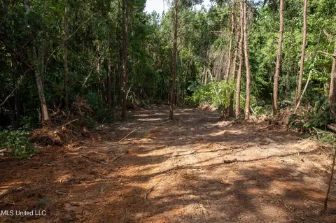 Hwy 18, Puckett, MS 39042 photo 11