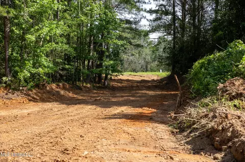 Hwy 18, Puckett, MS 39042 photo 8