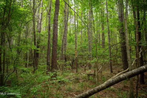 Hwy 18, Puckett, MS 39042 photo 33