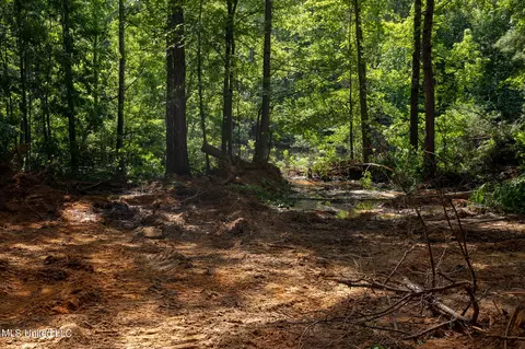 Hwy 18, Puckett, MS 39042 photo 14
