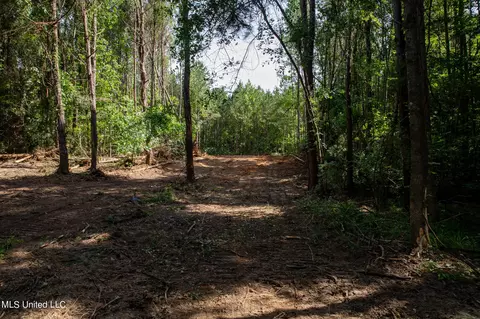 Hwy 18, Puckett, MS 39042 photo 22