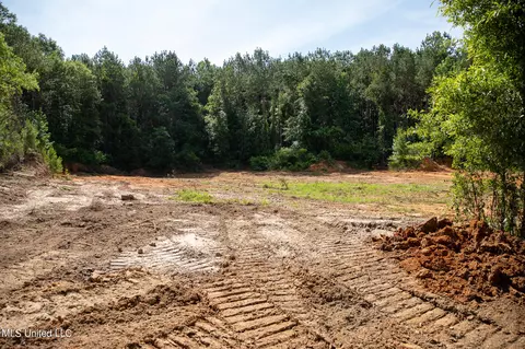 Hwy 18, Puckett, MS 39042 photo 5