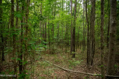 Hwy 18, Puckett, MS 39042 photo 27