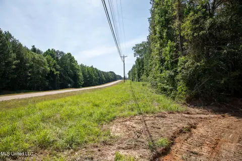 Hwy 18, Puckett, MS 39042 photo 9