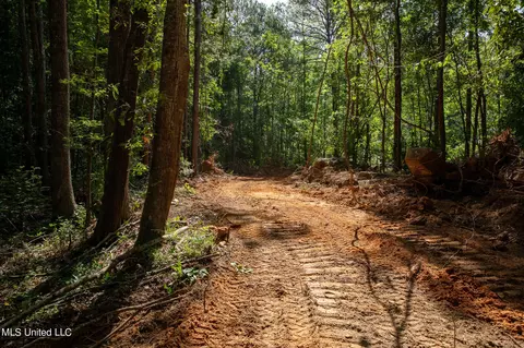 Hwy 18, Puckett, MS 39042 photo 17