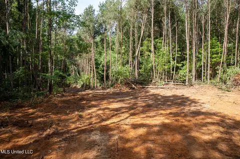 Hwy 18, Puckett, MS 39042 photo 13