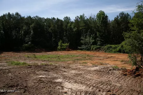 Hwy 18, Puckett, MS 39042 photo 7