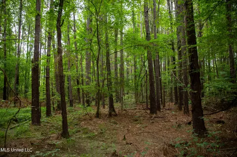Hwy 18, Puckett, MS 39042 photo 40