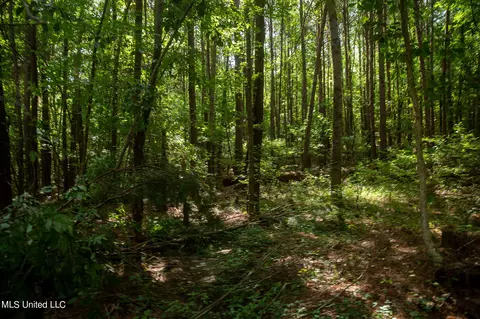 Hwy 18, Puckett, MS 39042 photo 42