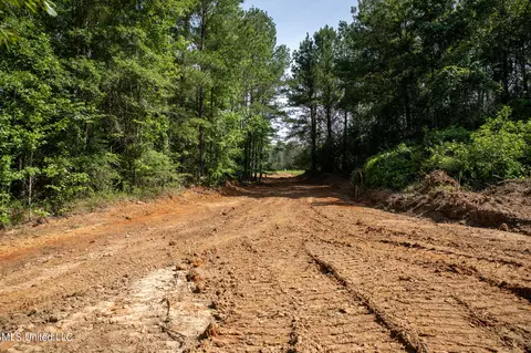 Hwy 18, Puckett, MS 39042 photo 6