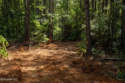 Hwy 18, Puckett, MS 39042 photo 20