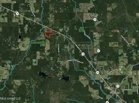 Hwy 18, Puckett, MS 39042 photo 46
