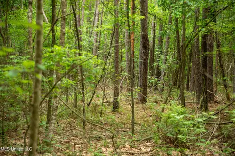 Hwy 18, Puckett, MS 39042 photo 31