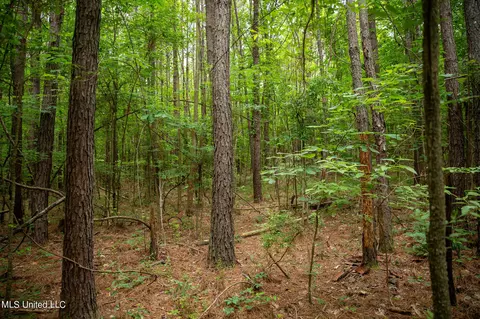 Hwy 18, Puckett, MS 39042 photo 34