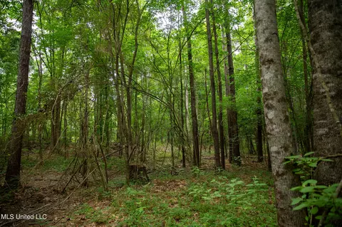 Hwy 18, Puckett, MS 39042 photo 35