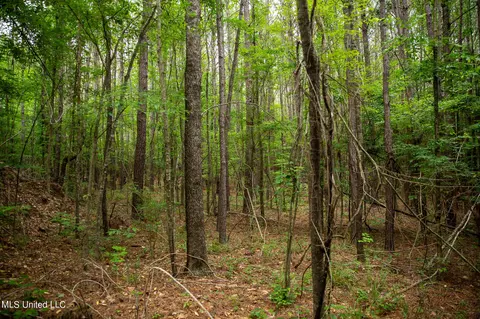 Hwy 18, Puckett, MS 39042 photo 39